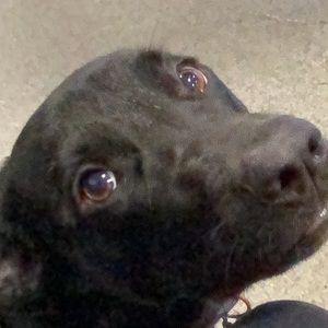 Meet your Posher, Gabriela